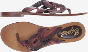 ESPRIT Sandals & High-Heeled Sandals in 41 in Purple: front