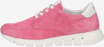 SIOUX Lace-Up Shoes in Pink