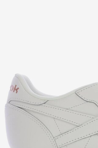 Reebok Sneakers & Trainers in 37 in White