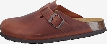 DR. BRINKMANN Clogs 'Nerpio' in Braun: Vorderseite