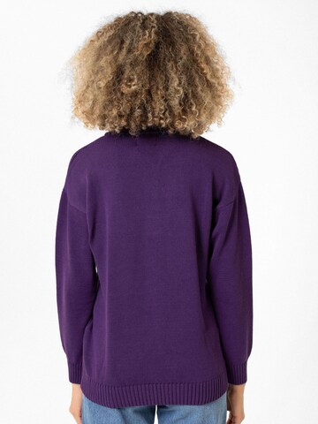 Williot Sweater 'Joshua' in Purple
