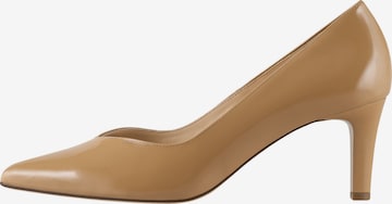 Högl Pumps ' BOULEVARD 60 ' in Brown: front