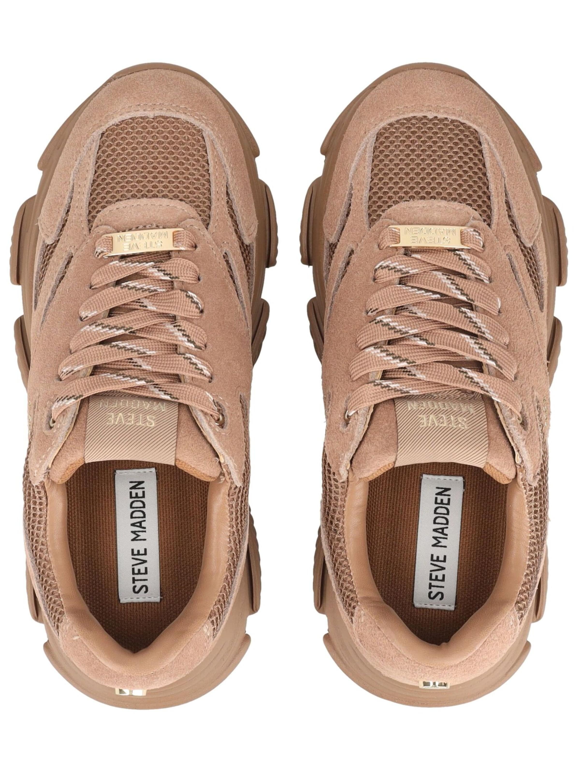 Sneaker bassa di STEVE MADDEN in marrone