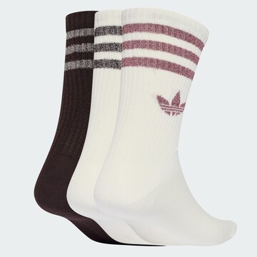 ADIDAS ORIGINALS - Calcetines en marrón