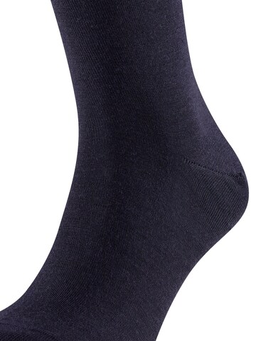 FALKE Knee High Socks 'Airport' in Blue