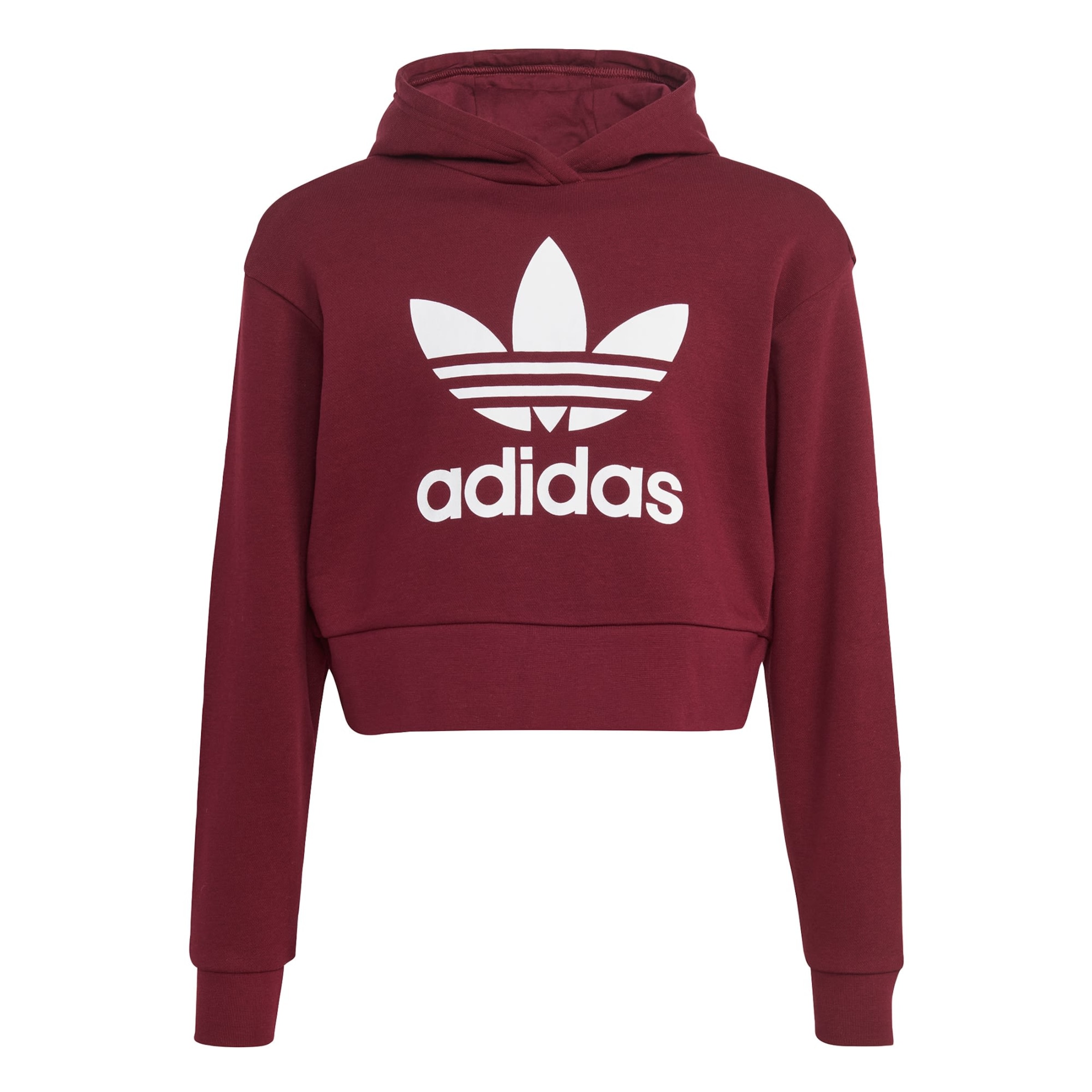 ADIDAS ORIGINALS Sweatshirt Adicolor in Wine Red ABOUT YOU