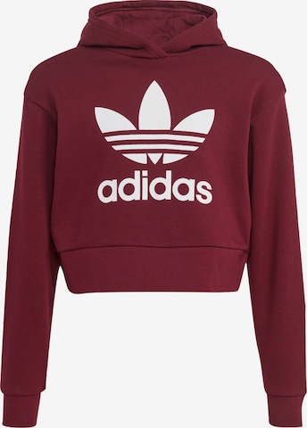 ADIDAS ORIGINALS Sweatshirt 'Adicolor' in Rot: predná strana