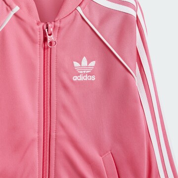 ADIDAS ORIGINALS Обычный Костюм для бега 'Adicolor' в Ярко-розовый