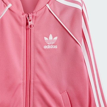 ADIDAS ORIGINALS Обычный Костюм для бега 'Adicolor' в Ярко-розовый