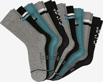 SCHIESSER Sokken in Grijs: voorkant