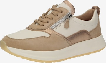 Baskets basses 'Sunivla ' SIOUX en beige : devant