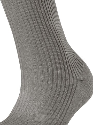 FALKE Socks 'Shiny Rib' in Red