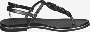MEXX T-Bar Sandals in Black