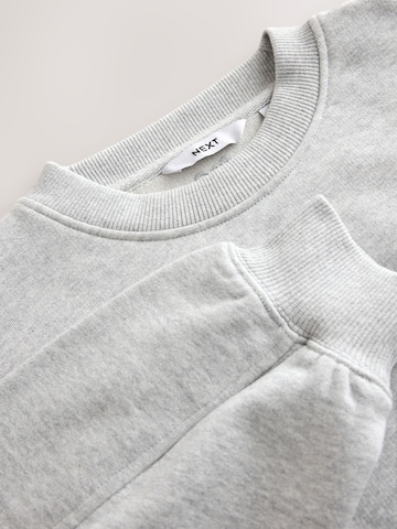 Next Sweatshirt in Grijs