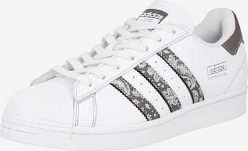 Baskets basses 'SUPERSTAR' ADIDAS ORIGINALS en blanc : devant