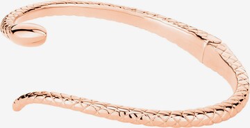 Apple of Eden Armband in Goud: voorkant