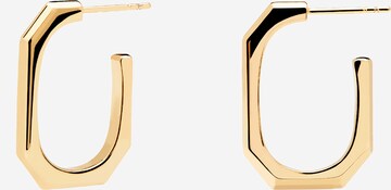 P D PAOLA Earrings in Gold: front