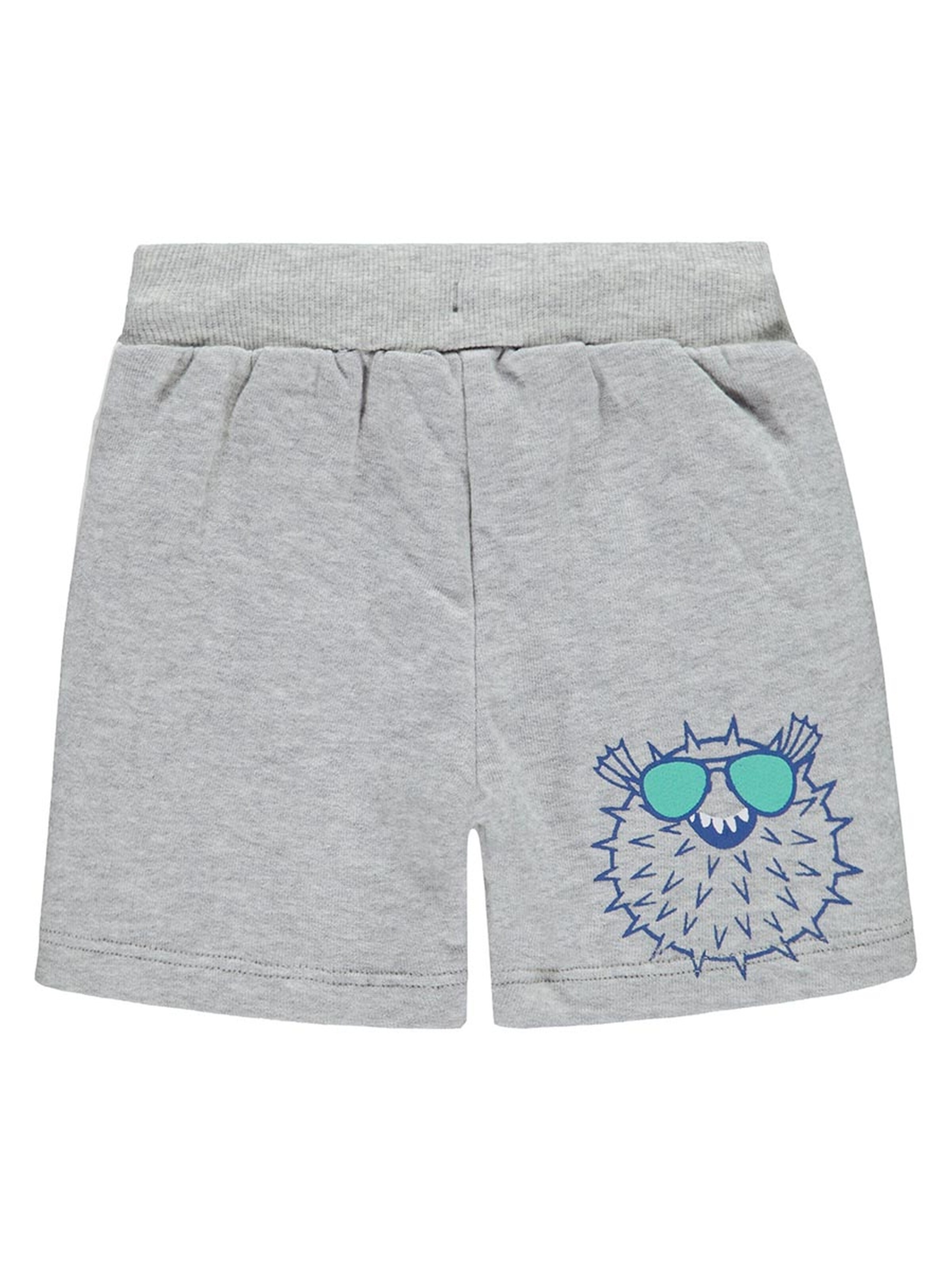 KANZ Regular Pants in Grey