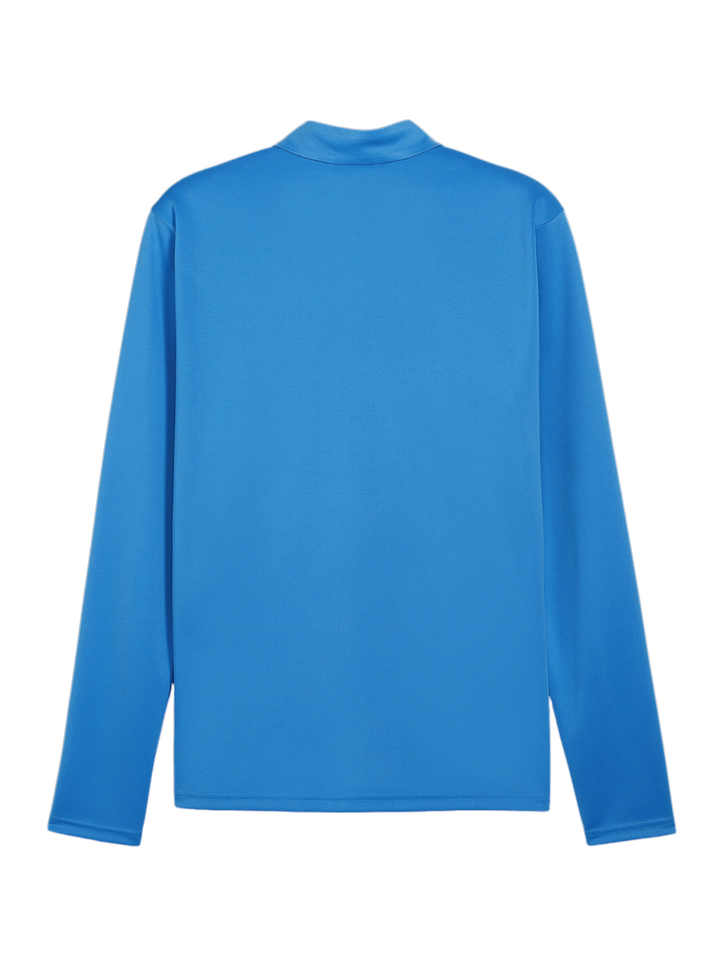PUMA Funktionsshirt 'TeamGoal' in Blau