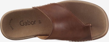 GABOR Teenslipper in Bruin