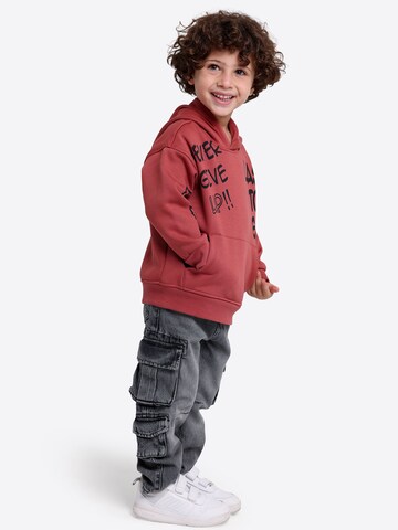 Solang Sweatshirt in Bruin