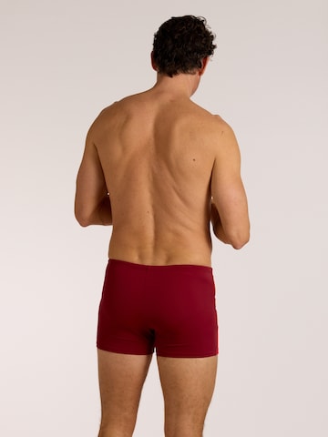 wavebreaker Swim Trunks in Red