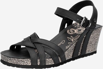 PANAMA JACK Strap Sandals 'Vera' in Black: front