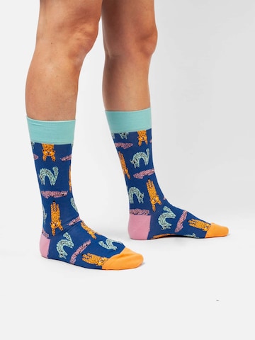 DillySocks Socks 'Pet Trio ' in Blue