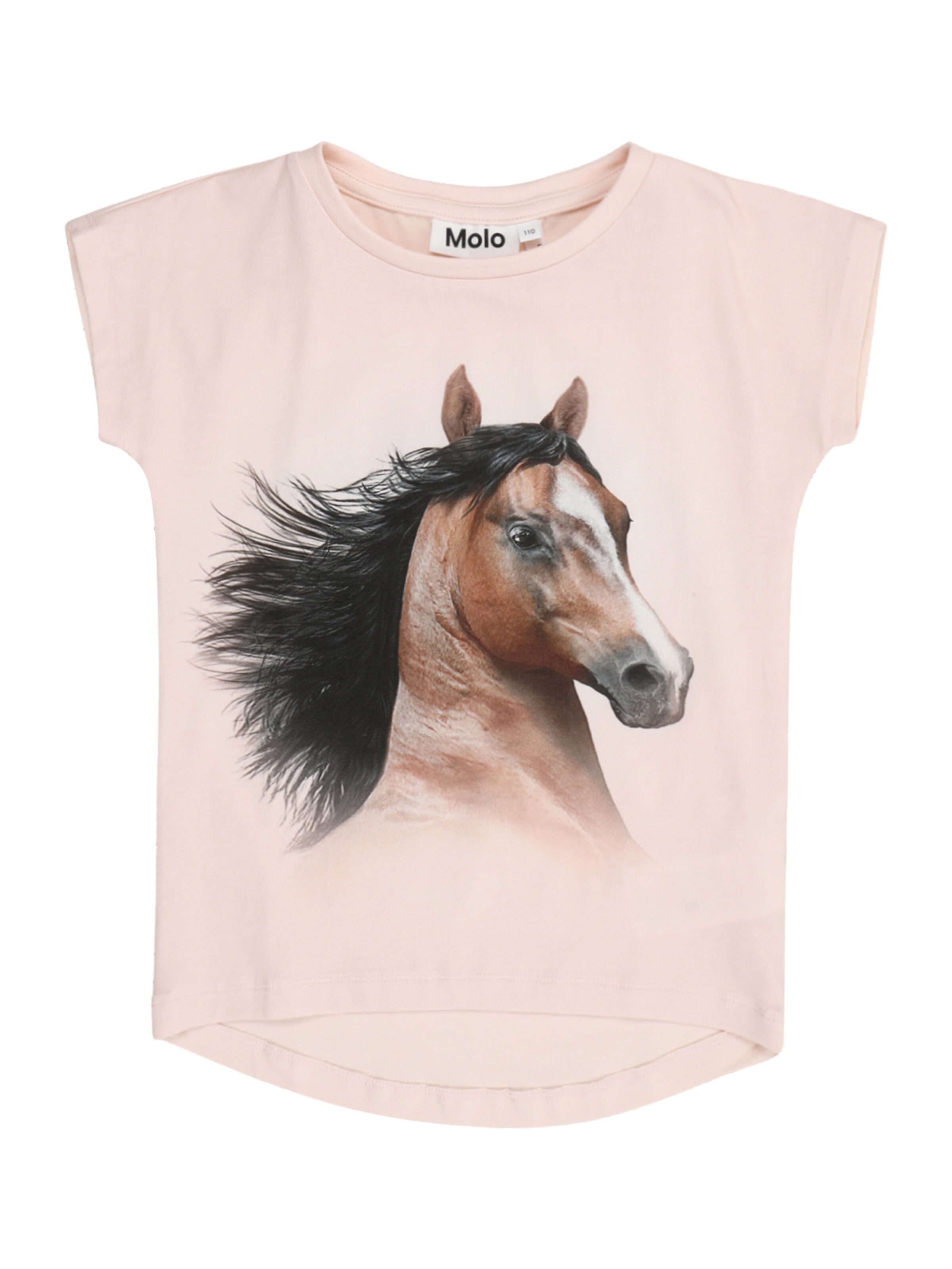 Molo Shirt 'Ragnhilde' in Pink: front