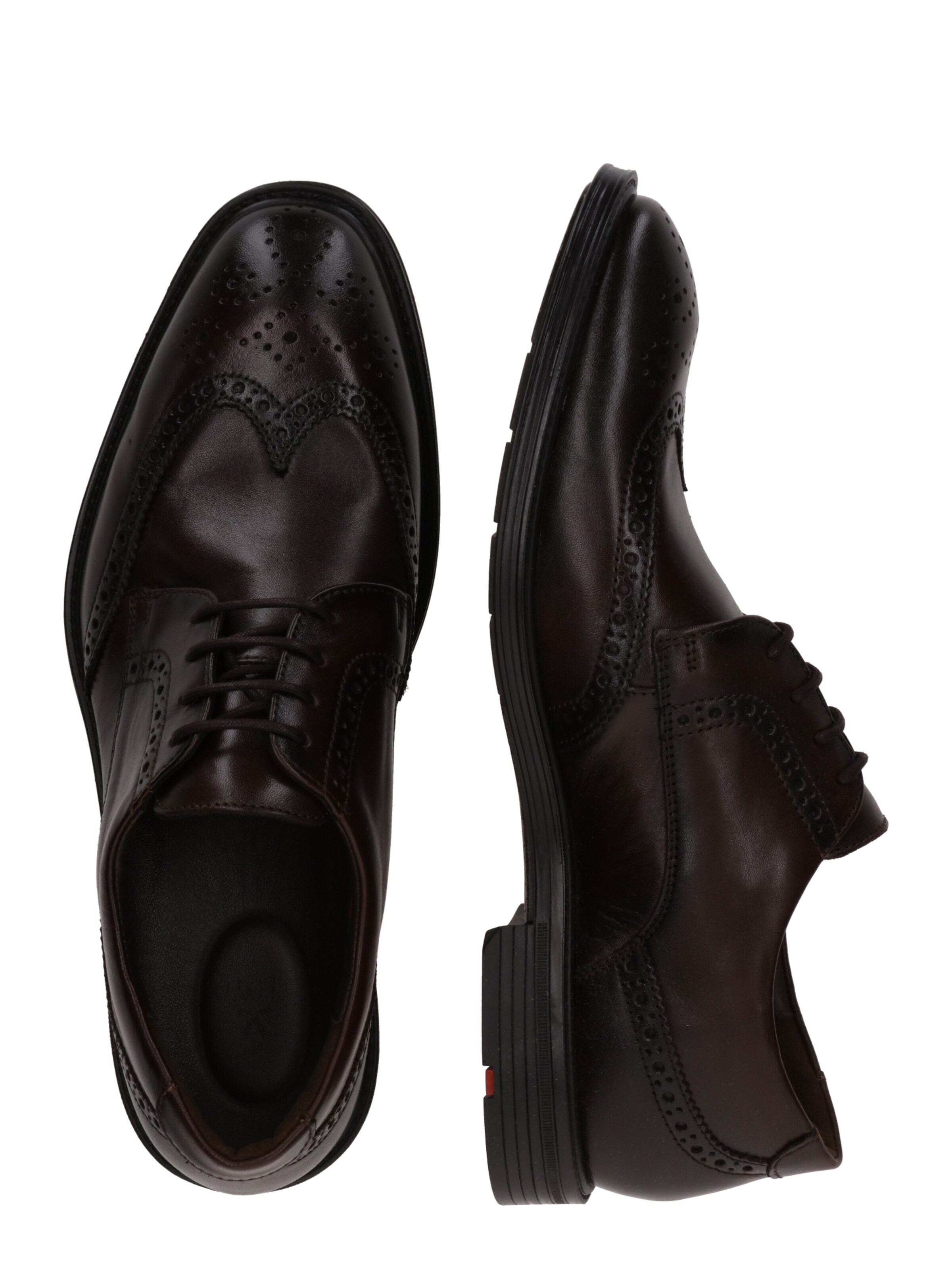 brūns LLOYD Kurpes ar šņorēm 'X-MOTION 140'