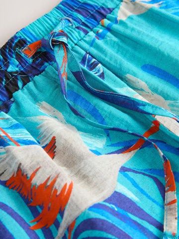 Next Regular Trousers in Blue