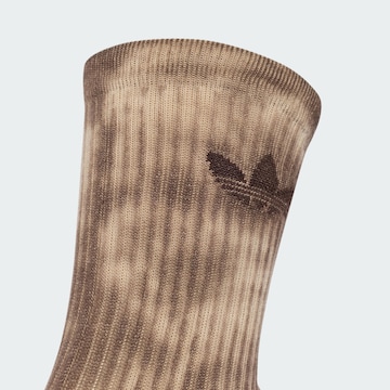 Calzino di ADIDAS ORIGINALS in beige