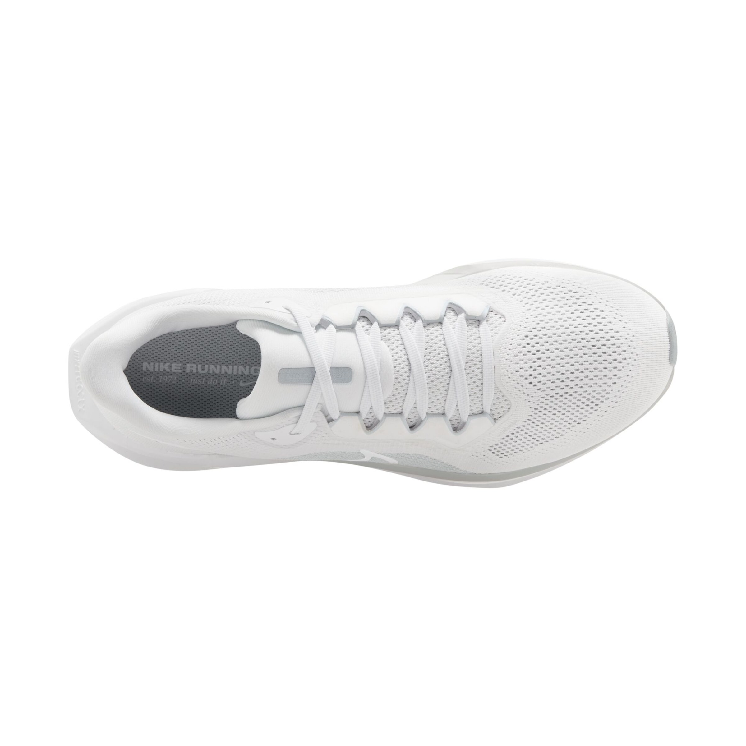 NIKE Springsko 'Pegasus 41' i vit