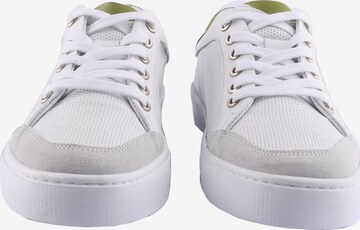 D.MoRo Shoes Sneakers 'Yufzebi' in White