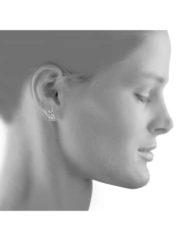 Zeeme Earrings in Silver: front