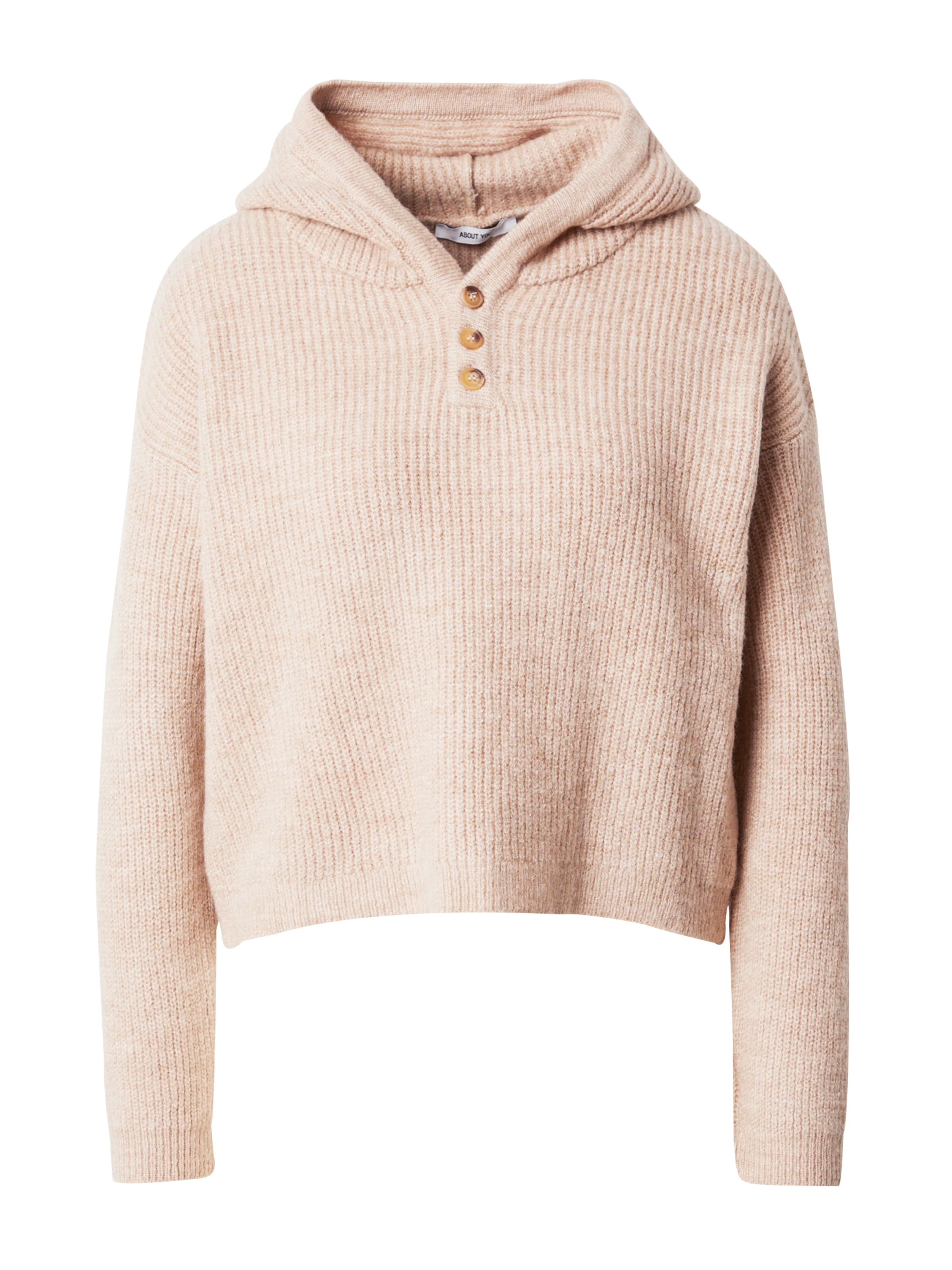 ABOUT YOU Pullover 'Christiane' in Braun: Vorderseite