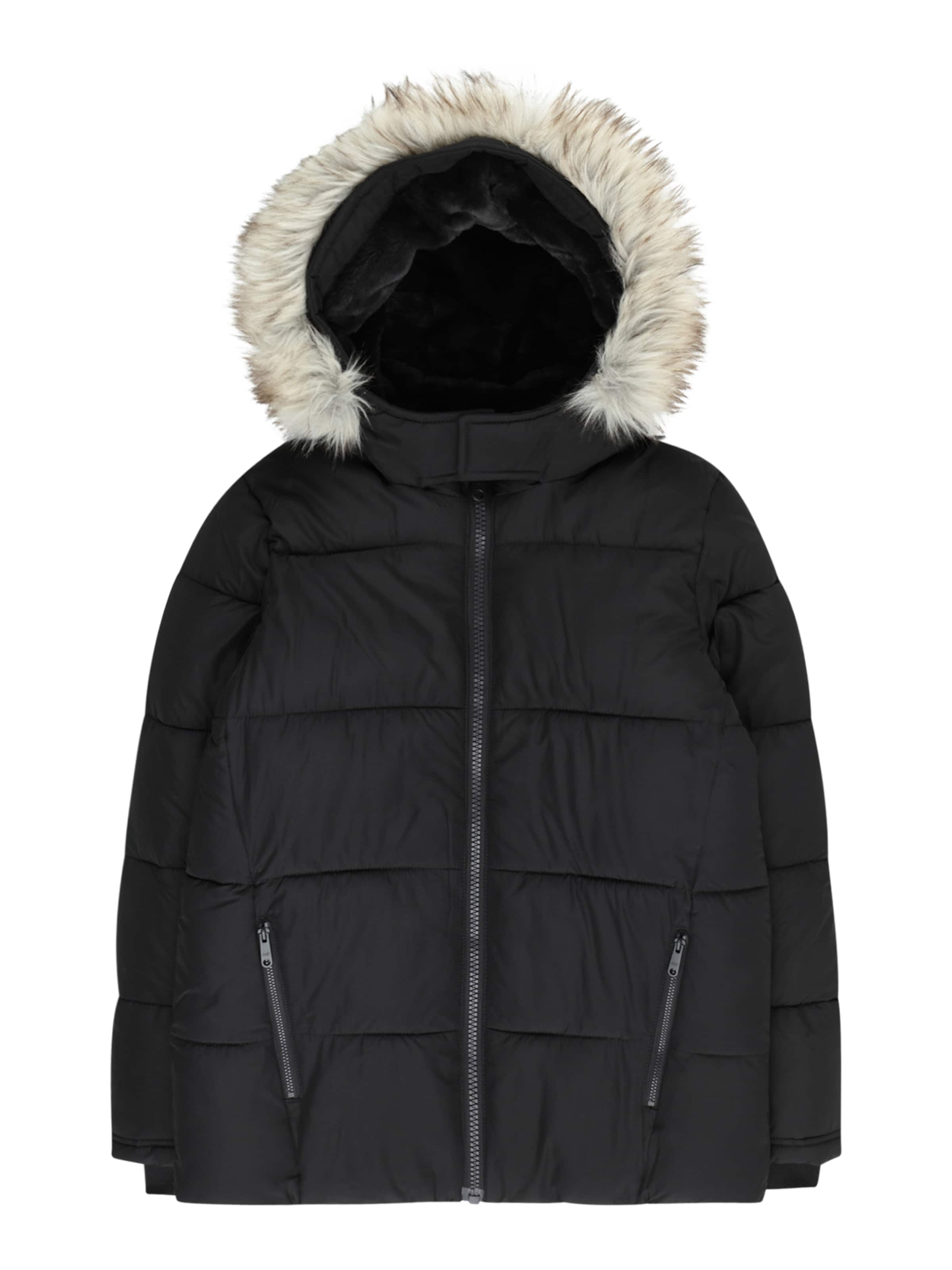 Abercrombie & Fitch Winterjas in Zwart: voorkant