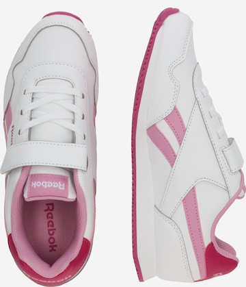 Reebok Ketsid 'ROYAL CL', värv valge