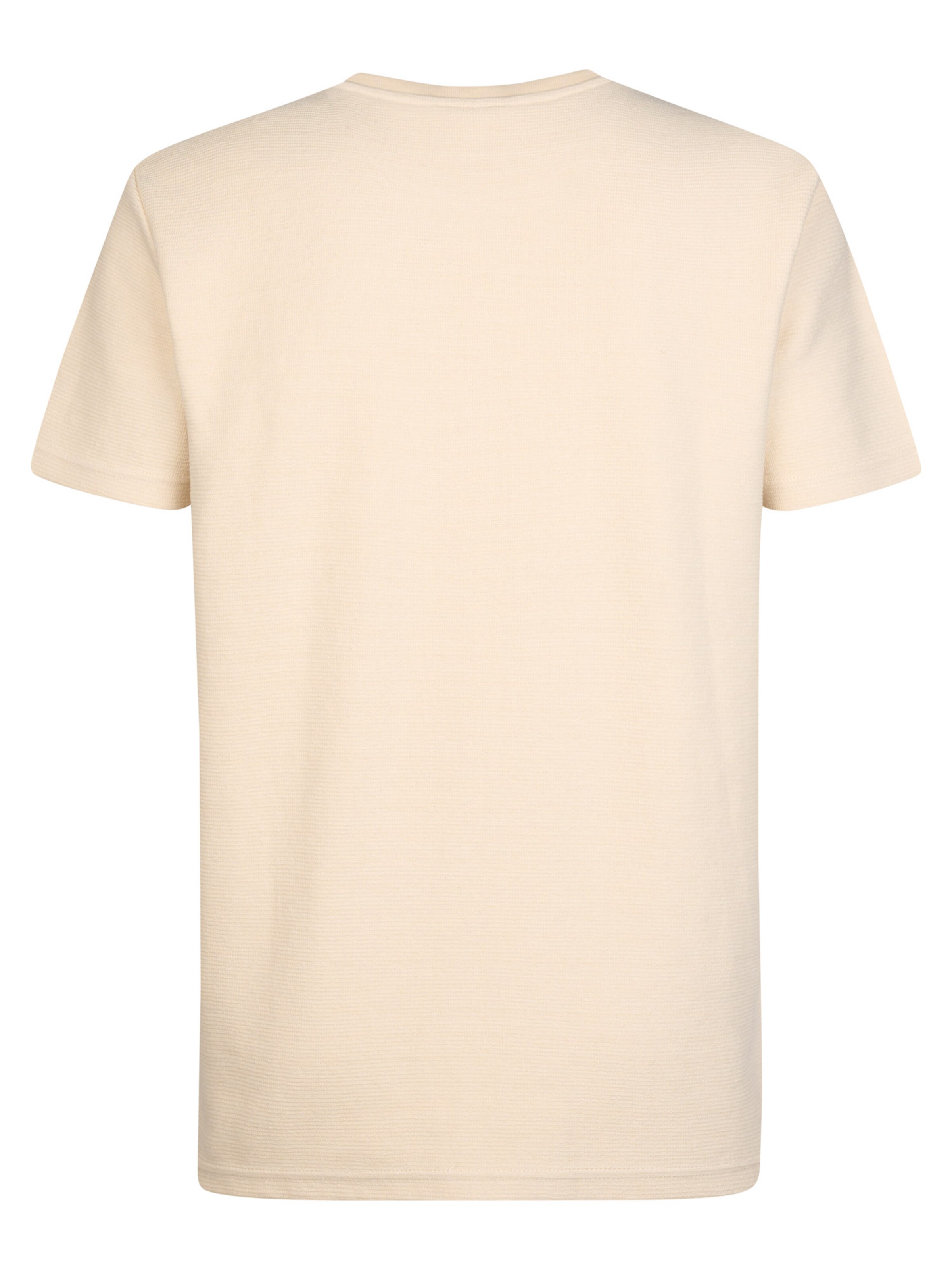 Petrol Industries T-Shirt in Beige