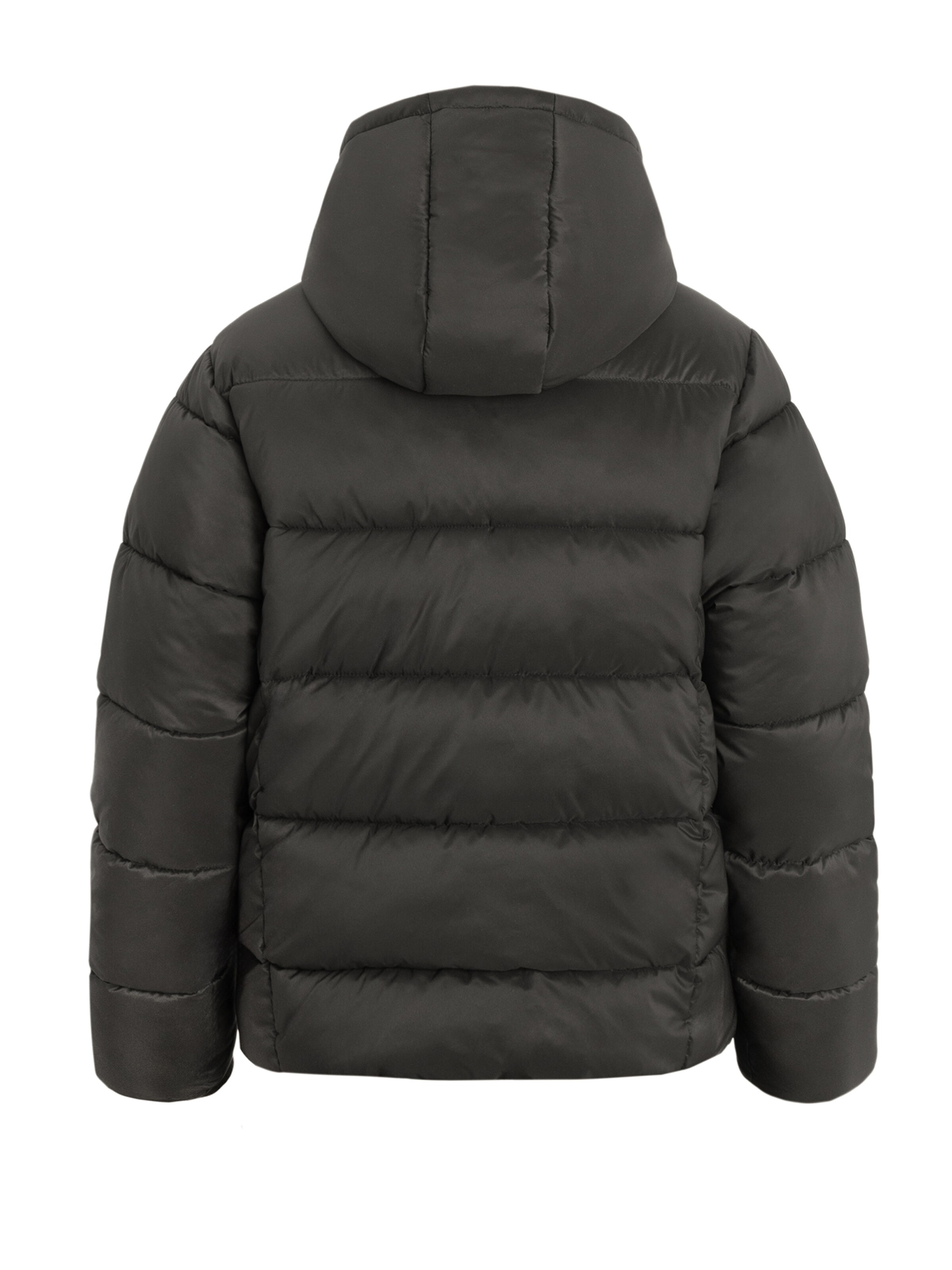 NoWear Зимняя куртка в Черный: сзади