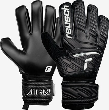 REUSCH Athletic Gloves 'Attrakt' in Mixed colors: front