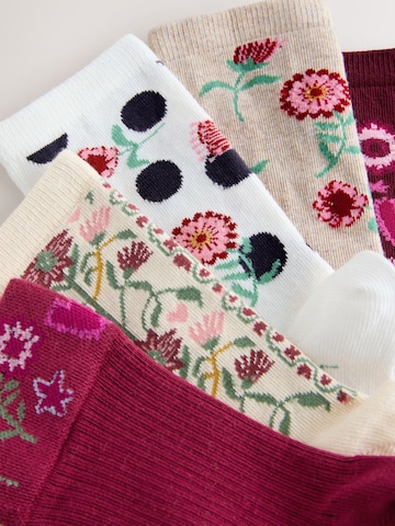 Next Socks in Mixed colours
