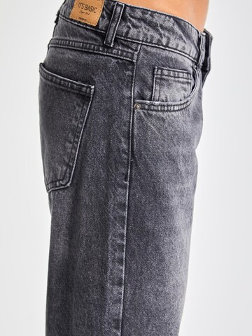 IT'S BASIC Regular Jeans 'Straight Low Rise Jeans' in Grijs