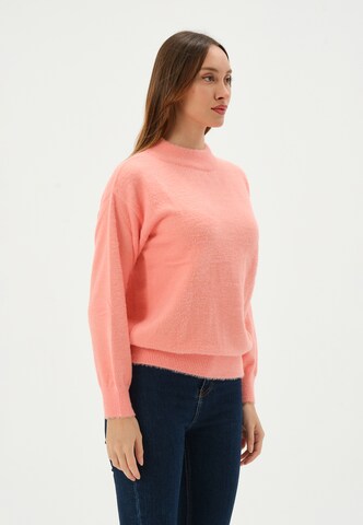 Pullover di Giorgio di Mare in rosa