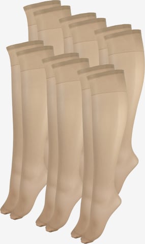 Esda Fine Stockings in Beige: front