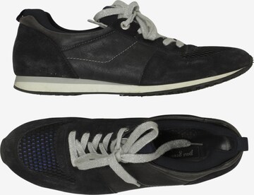 Paul Green Sneaker 43 in Blau: Vorderseite