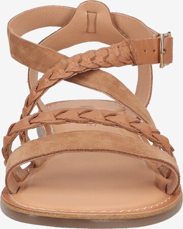 Kickers Strap Sandals in Brown