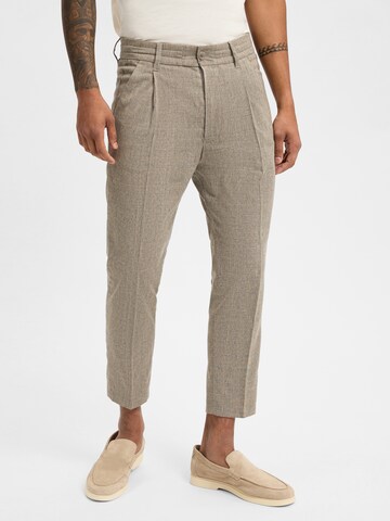 DRYKORN Regular Pleat-front trousers ' Chasy ' in Beige: front