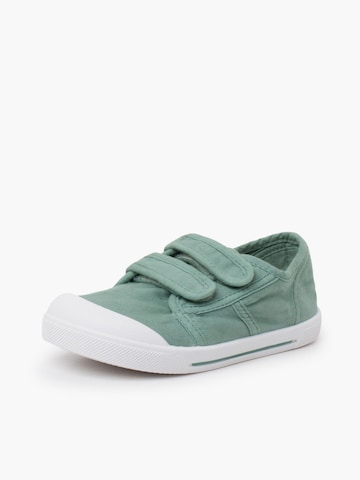 Pisamonas Sneaker‌‌‌‌‌‌‌ in Grün: Vorderseite