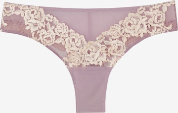 INTIMISSIMI Thong in Purple: front